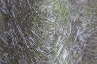 Pyle fibreglass roof work